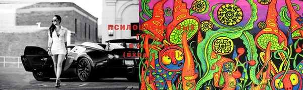 mix Вяземский