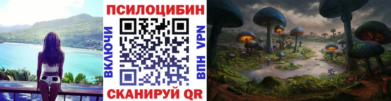 OMG ссылки  Зея  Галлюциногенные грибы Cubensis 